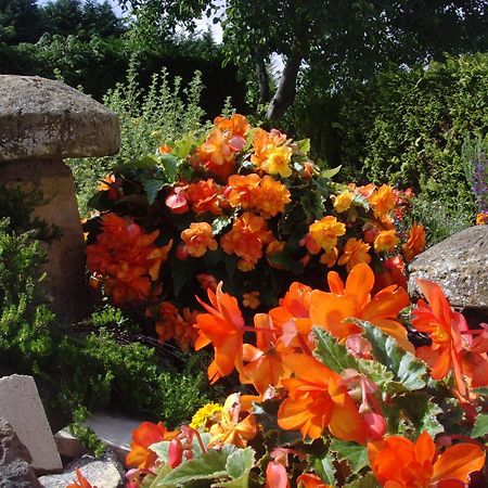 Brookleys Guest House Bidford ภายนอก รูปภาพ