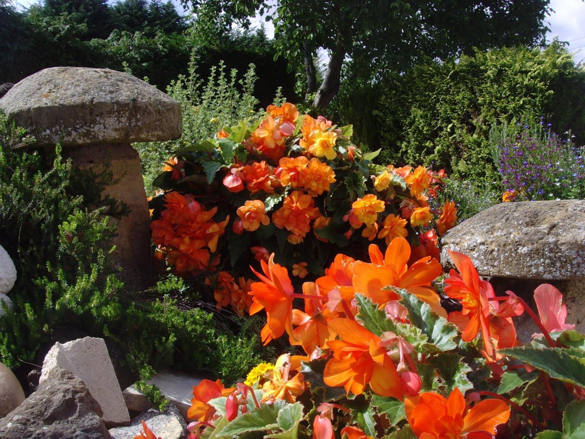Brookleys Guest House Bidford ภายนอก รูปภาพ
